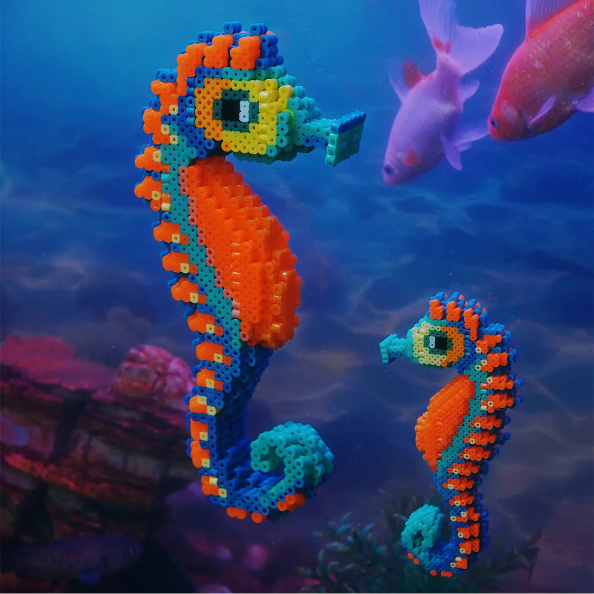 3D Seahorses (GL1-0020)